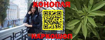 спайс Тара