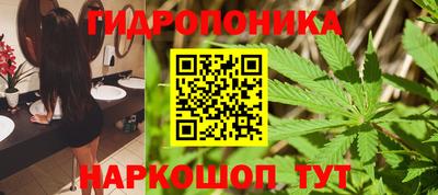 спайс Тара