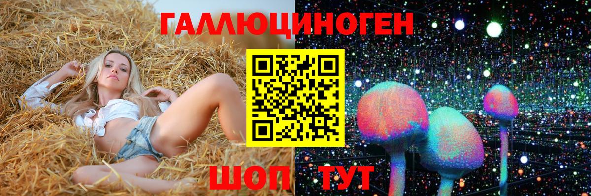 Аша  Псилоцибиновые грибы Psilocybe  Галлюциногенные грибы Cubensis  Вход с VPN 